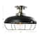 Hello Honey® 13" Wide Caged Dome Metal Semi-Flush Mount Ceiling Light